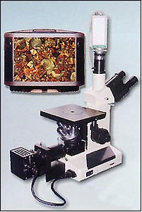 上光显微镜